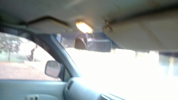 tiger ตอนเดียว