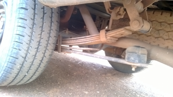 tiger ตอนเดียว