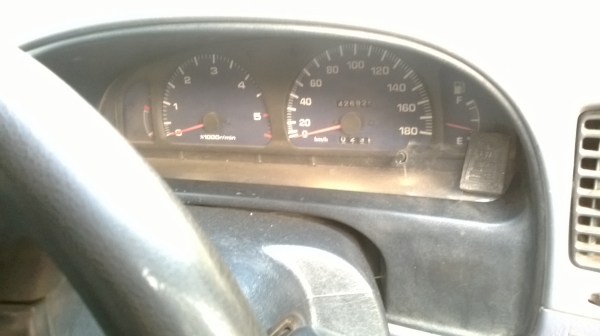 tiger ตอนเดียว