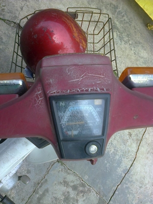 นันธิดา C700