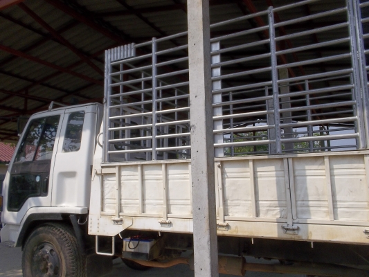 ขายอีซุซุFSR/165แรงรถห้างรถอยู่ปากช่องนครราชสีมา