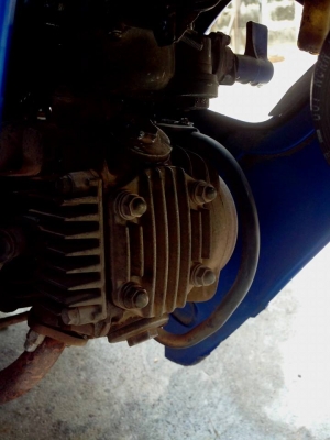 ขายเวฟ100ถูกๆ