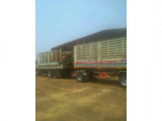 ขายดัมพ์3Mแท้ แม่-ลูก เครื่องดี แชสซีสวย เอกสารพร้อมโอน