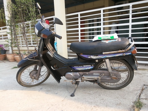 ขาย ดรีมตูดมนครับ ขาย ดรีมตูดมนครับ