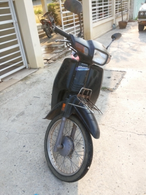 ขาย ดรีมตูดมนครับ ขาย ดรีมตูดมนครับ