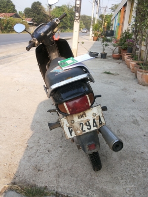 ขาย ดรีมตูดมนครับ ขาย ดรีมตูดมนครับ