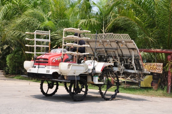 โห!! ลดกระหน่ำขายรถดำนาMITSUBISHI MPR8แถว สภาพสวยเดิมจากญี่ปุ่นยังไม่เคยใช้ในไทย 68,000 เท่านั้น!!