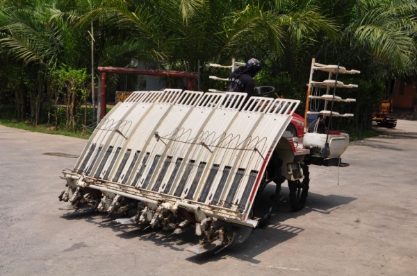 โห!! ลดกระหน่ำขายรถดำนาMITSUBISHI MPR8แถว สภาพสวยเดิมจากญี่ปุ่นยังไม่เคยใช้ในไทย 68,000 เท่านั้น!!