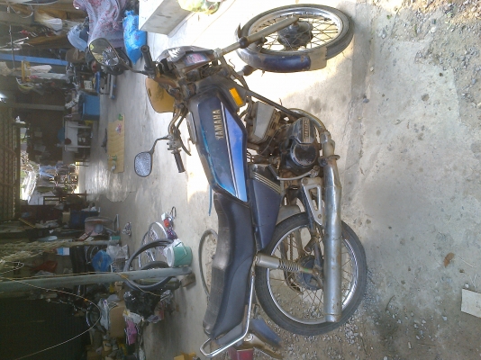 ลุงทุม หัวเขา   ติดต่อ 086  764   5698