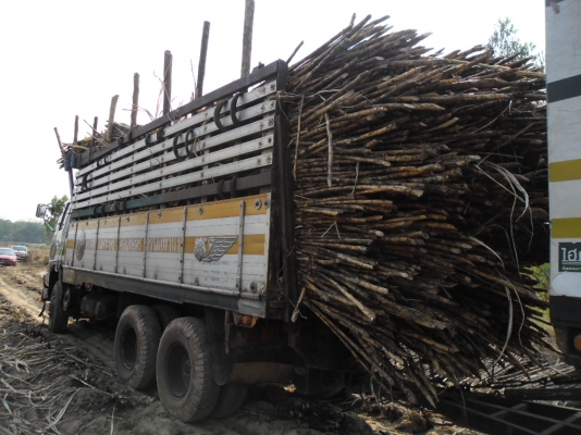 ขายรถพ่วงดั้มแม่ลูก HINO FM 2 K แม่กะบะข้างเนียมลูกสหกิจยางดีคัสซีสวยเครื่องดีทะเบียนเต็มชุดโอนพร้อม