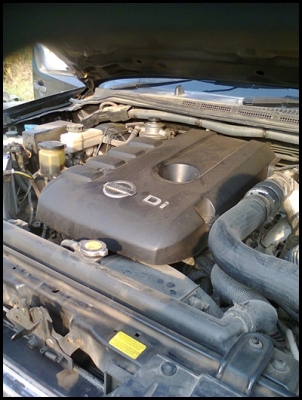 นิสสัน NAVARA