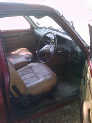 ม้าดำดีเซล ม้าดำดีเซล