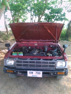 ม้าดำดีเซล ม้าดำดีเซล