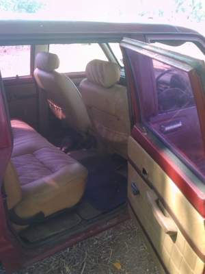 ม้าดำดีเซล ม้าดำดีเซล