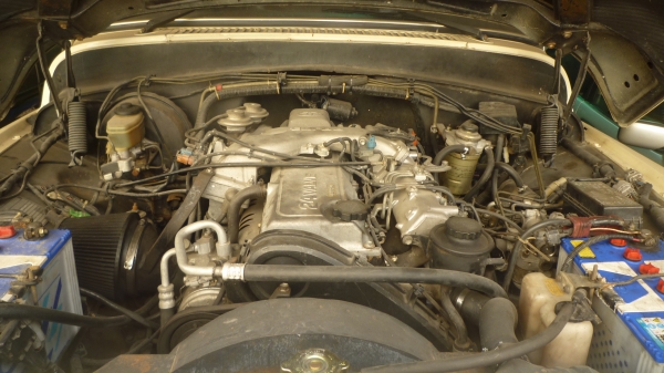 ฝากขายครับ ฝากขายครับ