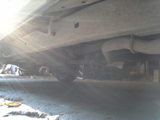 ขายไทเกอร์D4Dตัวท๊อป