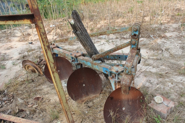 ขายผานสาม