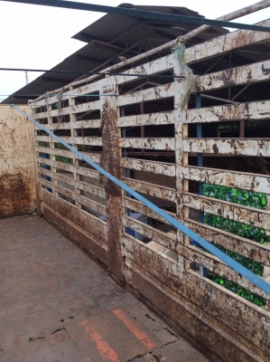 มัดจำแล้ว10000 คับ.***ขายกะบะคอกเหล็กกล่อง ยาว 7.20มคอกสูง ยกลงจากฮีโน่เมกก้า***