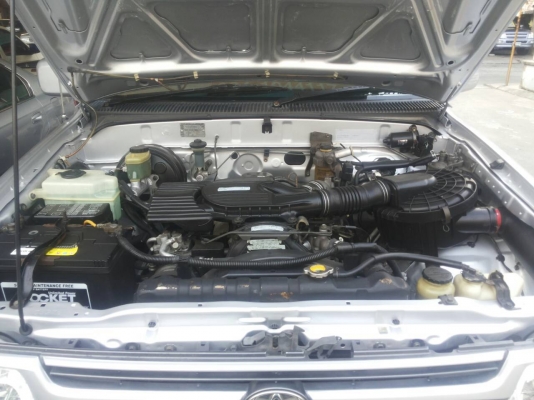 ไทเกอร์งามๆ มาแล้ว