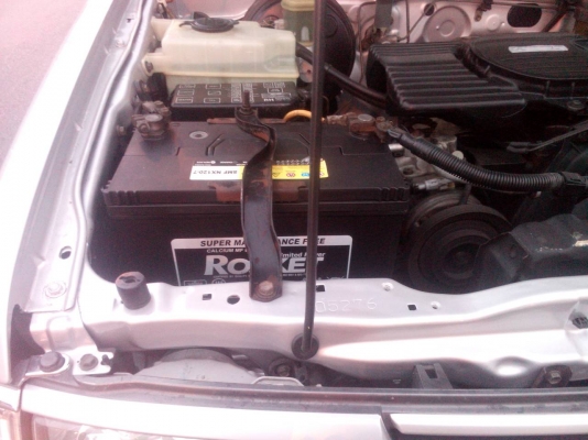 ไทเกอร์งามๆ มาแล้ว