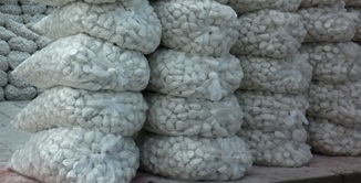 ขายดินสอพองลพบุรี สำหรับเล่นสงกรานต์ ราคาส่ง ขายดินสอพองลพบุรี สำหรับเล่นสงกรานต์ ราคาส่ง