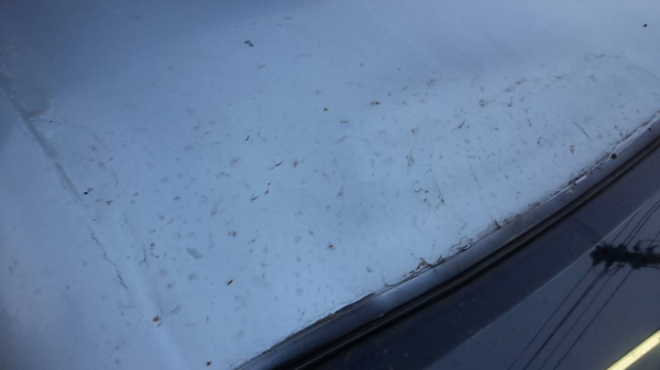 ***ขายแล้วครับขอบคุณ Truck2hand ขายรถเก๋งยอดนิยม TOYOTA CORONA EXSIOR 1.6 EXI Auto โฉมท้ายโด่ง ปี36/93 ไม่แก๊ส เครื่องเดิมเกียร์เดิม เครื่องดี ทน แรง ช่วงล่างดี คานหน้าเดิม ภายในเก๋งสวย คอนโซลครบ แอร์ พ.พาวเวอร์ ก.ไฟฟ้า เบาะหนัง ล้อแม็ก ยางดี4เส้น สีสันพอ ***ขายแล้วครับขอบคุณ Truck2hand ขายรถเก๋งยอดนิยม TOYOTA CORONA EXSIOR 1.6 EXI Auto โฉมท้ายโด่ง ปี36/93 ไม่แก๊ส เครื่องเดิมเกียร์เดิม เครื่องดี ทน แรง ช่วงล่างดี คานหน้าเดิม ภายในเก๋งสวย คอนโซลครบ แอร์ พ.พาวเวอร์ ก.ไฟฟ้า เบาะหนัง ล้อแม็ก ยางดี4เส้น สีสันพอ