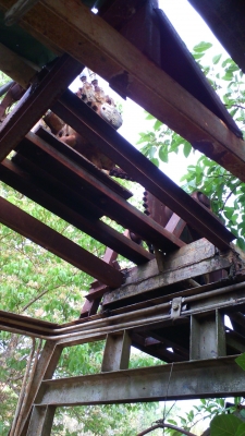 เรือดูดทราย..เครื่องฮีโน่ อีเอฟ ๗๕๐ วี ๘ มีหัวเจาะ ท่อดูด ๑๐ นิ้ว ควบคุมด้วยระบบไฮดรอลิก