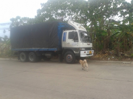 อีโน่ เพลาเดียว พร้อมใช้