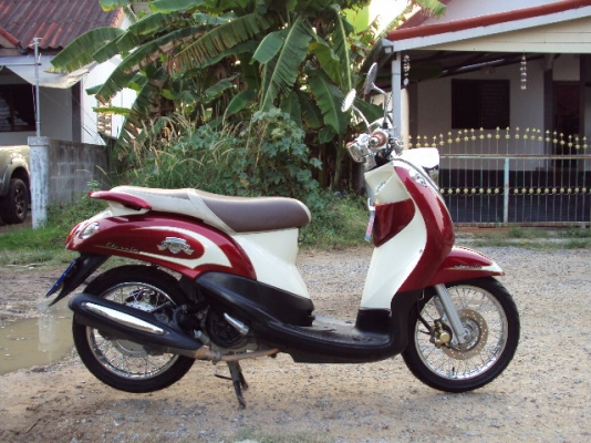 FINO เกจแยกสภาพดี