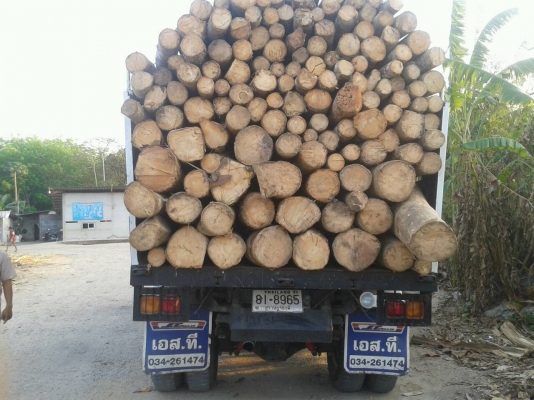 ขายหกล้อ ยูโร C ปี 53