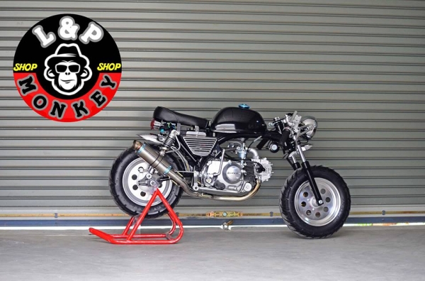 หา monkey +ทะเบียน+ราคาถูก บ้านๆสักคันครับ !!