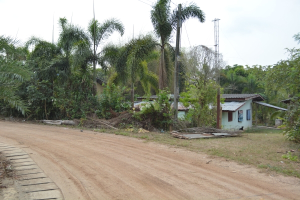 ขายบ้านพร้อมที่ดิน1ไร่2งาน31ตร.ว บ่อทอง ชลบุรี