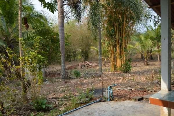 ขายบ้านพร้อมที่ดิน1ไร่2งาน31ตร.ว บ่อทอง ชลบุรี