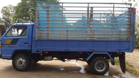 ขาย 6 ล้อ ISUZU NPR59L