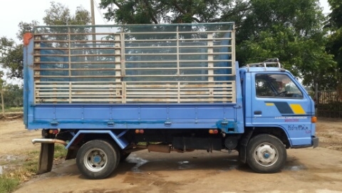 ขาย 6 ล้อ ISUZU NPR59L