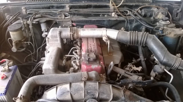 ขาย big m cab ฝาแดง