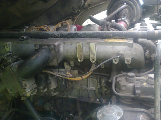 ขายหัวลากเปอร์เซียร์