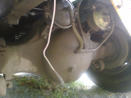 ขายหัวลากเปอร์เซียร์