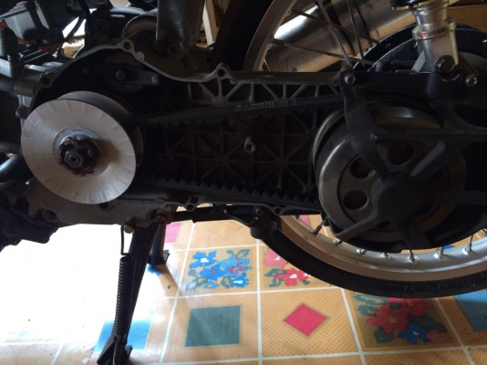 ขายมีโอ ทะเบียนครบ