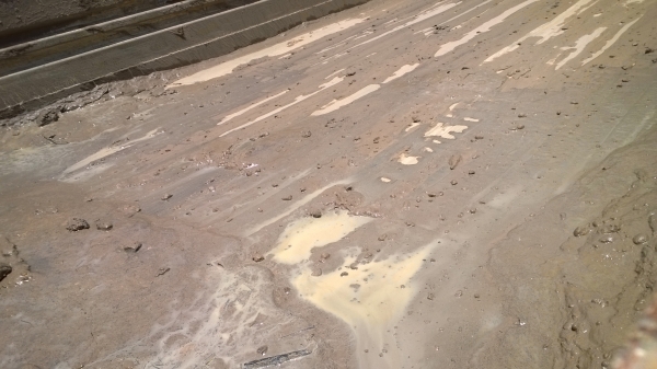 ISUZU FTR33F 6ล้อดั้ม195แรง ห้างแท้หัวเดิมบาง ยางสวยเต็ม คัสซีสวย เครื่องแน่นไม่มีไอ...กันชนหน้าให้ใหม่.