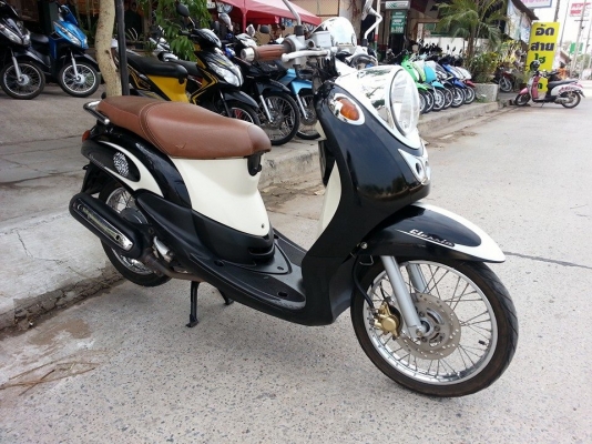 ฟีโน่ ปี52