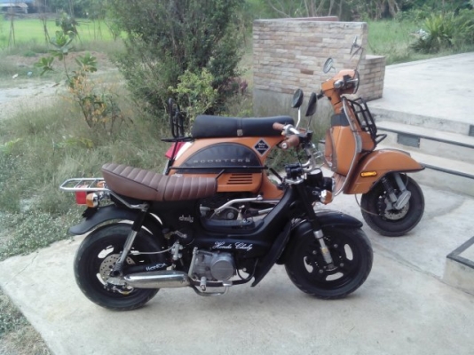 ขายชาลี