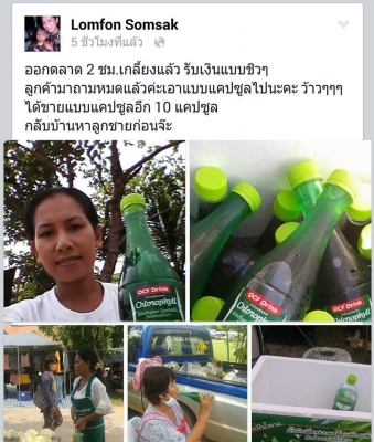 แฟรนไชส์คลอโรฟิลล์ รายได้ดี แฟรนไชส์คลอโรฟิลล์ รายได้ดี