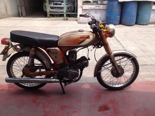 ขาย YL2 Original japan พร้อมประกวด ขาย YL2 Original japan พร้อมประกวด