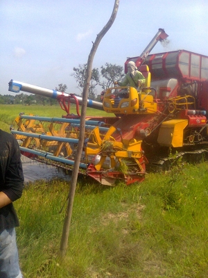 ขายรถเกี่ยวข้่าวศักดิ์พัฒนาเช็คลงนาปังแล้วพร้อมเทเลอร์สิบล้อปรับราคา890000บาท