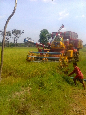 ขายรถเกี่ยวข้่าวศักดิ์พัฒนาเช็คลงนาปังแล้วพร้อมเทเลอร์สิบล้อปรับราคา890000บาท