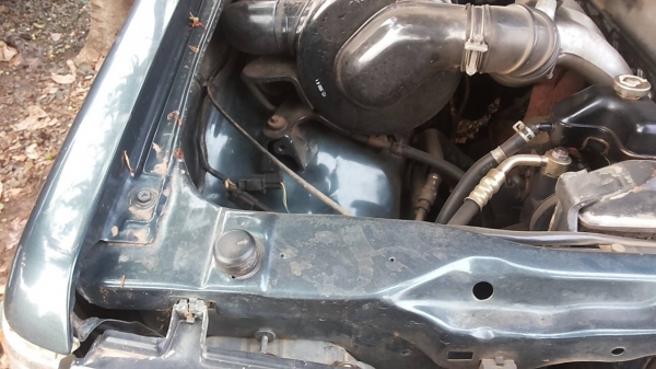 **115,000 บ.ต่อรอง**ขายกระบะแค็ป MITSU L200 AEROBODY 2.5ปี39/96 เครื่องเดิมเกียร์เดิม แน่นๆ แรง ช่วงล่างดีคัสซีสวยเดิม ไม่ปะไม่ดาม กระบะพื้นดีไม่ผุ หน้าเดิม ภายในเก๋งสวยคอนโซลครบ แอร์ พ.พาวเวอร์ ยางพอใช้4เส้น รถเคลียร์สีมา สีสันดีบาง พร้อมใช้งาน เอกสารครบ **115,000 บ.ต่อรอง**ขายกระบะแค็ป MITSU L200 AEROBODY 2.5ปี39/96 เครื่องเดิมเกียร์เดิม แน่นๆ แรง ช่วงล่างดีคัสซีสวยเดิม ไม่ปะไม่ดาม กระบะพื้นดีไม่ผุ หน้าเดิม ภายในเก๋งสวยคอนโซลครบ แอร์ พ.พาวเวอร์ ยางพอใช้4เส้น รถเคลียร์สีมา สีสันดีบาง พร้อมใช้งาน เอกสารครบ