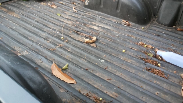 **115,000 บ.ต่อรอง**ขายกระบะแค็ป MITSU L200 AEROBODY 2.5ปี39/96 เครื่องเดิมเกียร์เดิม แน่นๆ แรง ช่วงล่างดีคัสซีสวยเดิม ไม่ปะไม่ดาม กระบะพื้นดีไม่ผุ หน้าเดิม ภายในเก๋งสวยคอนโซลครบ แอร์ พ.พาวเวอร์ ยางพอใช้4เส้น รถเคลียร์สีมา สีสันดีบาง พร้อมใช้งาน เอกสารครบ **115,000 บ.ต่อรอง**ขายกระบะแค็ป MITSU L200 AEROBODY 2.5ปี39/96 เครื่องเดิมเกียร์เดิม แน่นๆ แรง ช่วงล่างดีคัสซีสวยเดิม ไม่ปะไม่ดาม กระบะพื้นดีไม่ผุ หน้าเดิม ภายในเก๋งสวยคอนโซลครบ แอร์ พ.พาวเวอร์ ยางพอใช้4เส้น รถเคลียร์สีมา สีสันดีบาง พร้อมใช้งาน เอกสารครบ