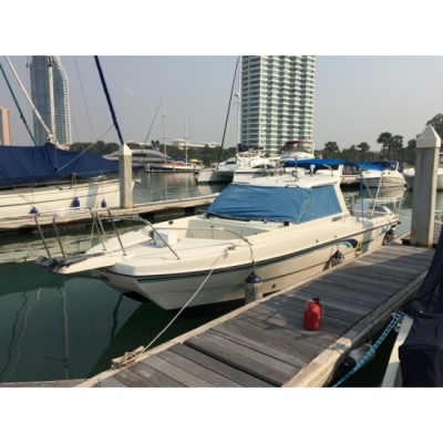 ขายเรือตกปลาไฟเบอร์ Catamaran Nissan SunCat 8 มือสองญี่ปุ่น