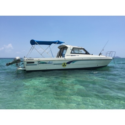 ขายเรือตกปลาไฟเบอร์ Catamaran Nissan SunCat 8 มือสองญี่ปุ่น